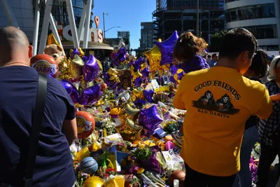 DSC_7169 (Large).JPG